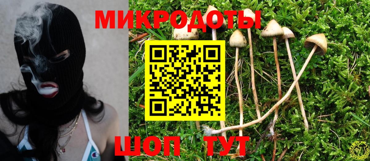 Междуреченск  купить  сайты  Вход с VPN  Псилоцибиновые грибы Psilocybe 